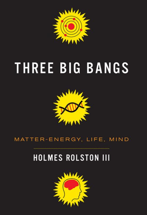 Cover of the book Three Big Bangs by Holmes Rolston III, Columbia University Press