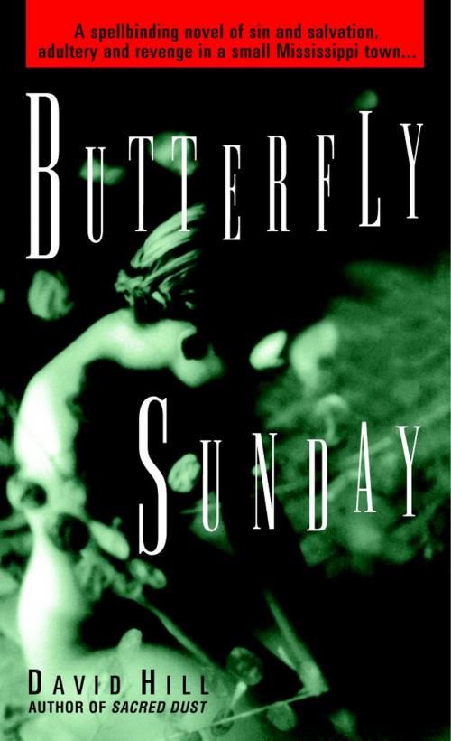Cover of the book Butterfly Sunday by David Hill, Random House Publishing Group
