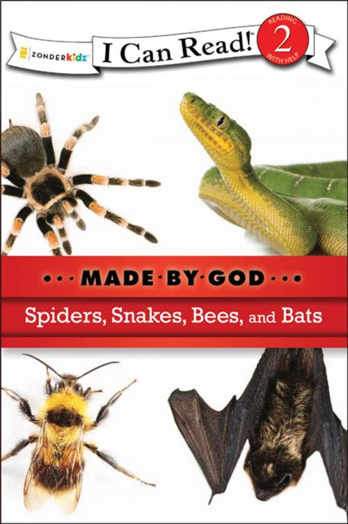 Cover of the book Spiders, Snakes, Bees, and Bats by Various Authors, Zonderkidz
