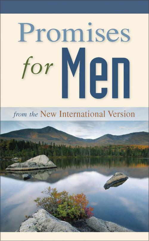 Cover of the book Promises for Men by Zondervan, Zondervan