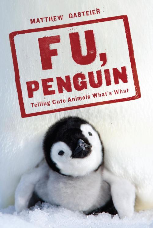 Cover of the book F U, Penguin by Matthew Gasteier, Random House Publishing Group