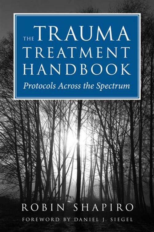 Cover of the book The Trauma Treatment Handbook: Protocols Across the Spectrum by Robin Shapiro, W. W. Norton & Company
