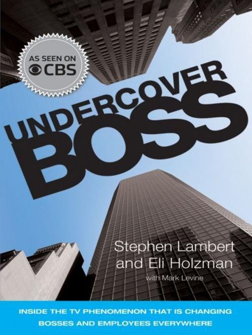 Cover of the book Undercover Boss by Stephen Lambert, Eli Holzman, Wiley