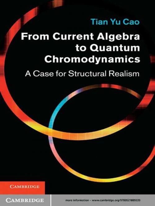 Cover of the book From Current Algebra to Quantum Chromodynamics by Tian Yu Cao, Cambridge University Press