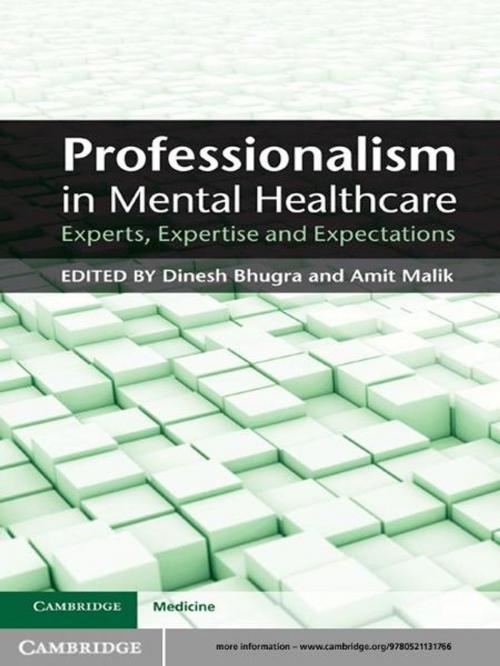 Cover of the book Professionalism in Mental Healthcare by , Cambridge University Press