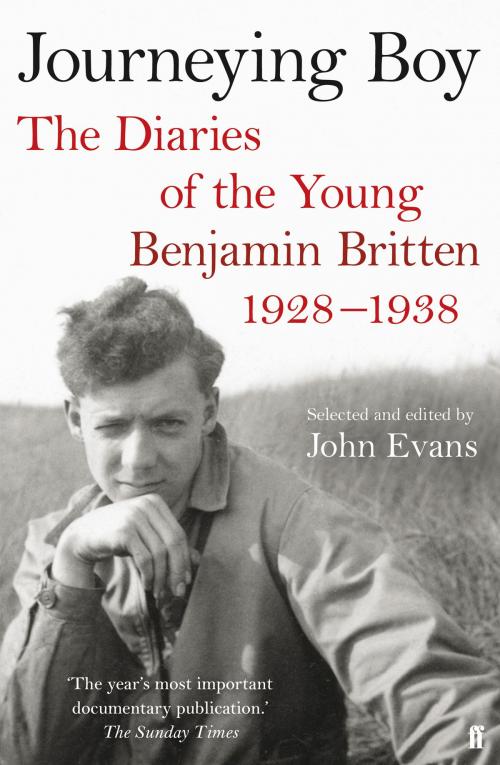 Cover of the book Journeying Boy by Dr John Evans, Faber & Faber