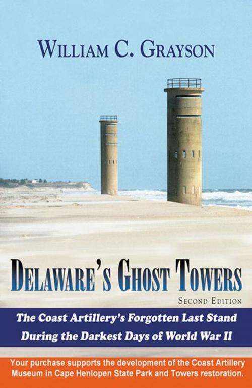 Cover of the book Delaware's Ghost Towers: 2nd Edition by William C. Grayson, Infinity Publishing