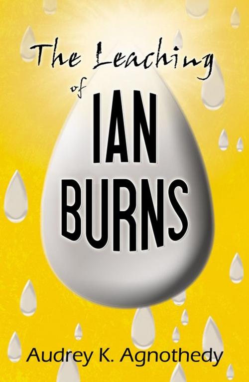 Cover of the book The Leaching Of Ian Burns by Audrey K. Agnothedy, Infinity Publishing