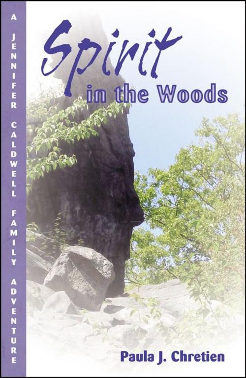 Cover of the book Spirit In The Woods by Paula J. Chretien, Infinity Publishing