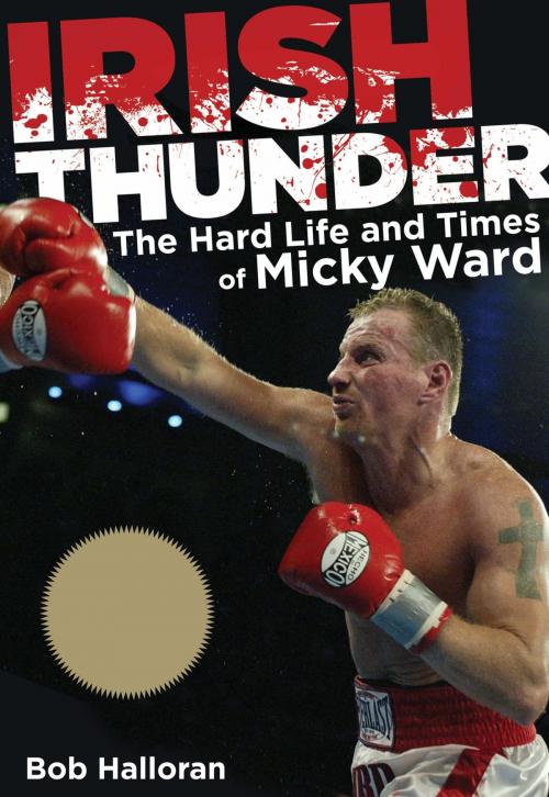 Cover of the book Irish Thunder by Bob Halloran, Lyons Press