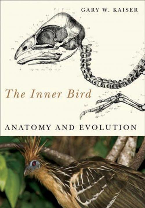 Cover of the book The Inner Bird by Gary W. Kaiser, UBC Press