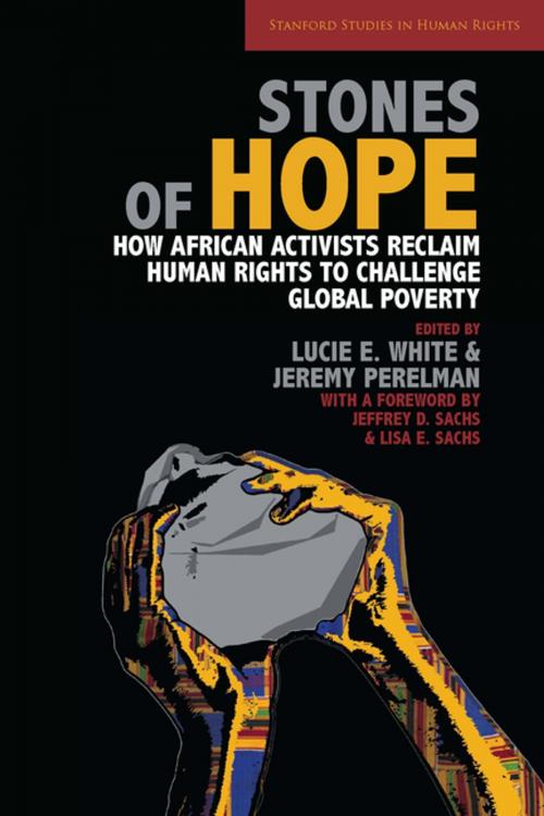 Cover of the book Stones of Hope by , Stanford University Press