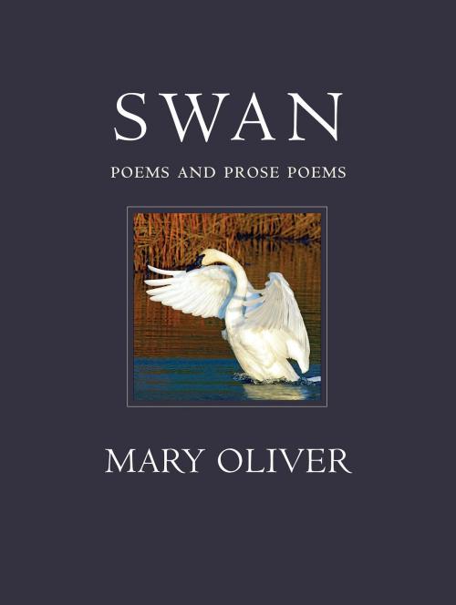 Cover of the book Swan by Mary Oliver, Beacon Press