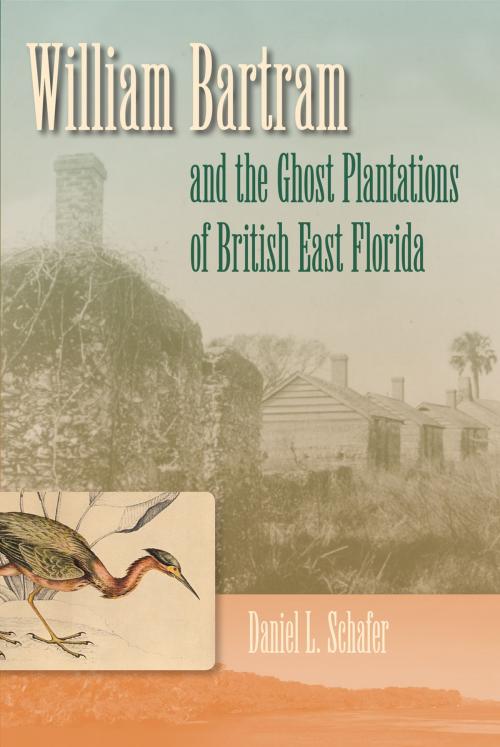 Cover of the book William Bartram and the Ghost Plantations of British East Florida by Daniel L. Schafer, University Press of Florida