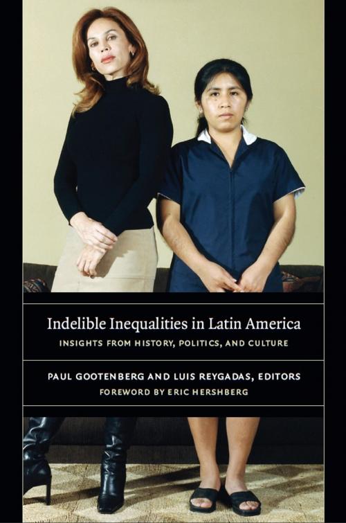Cover of the book Indelible Inequalities in Latin America by Eric Hershberg, Christina Ewig, Duke University Press