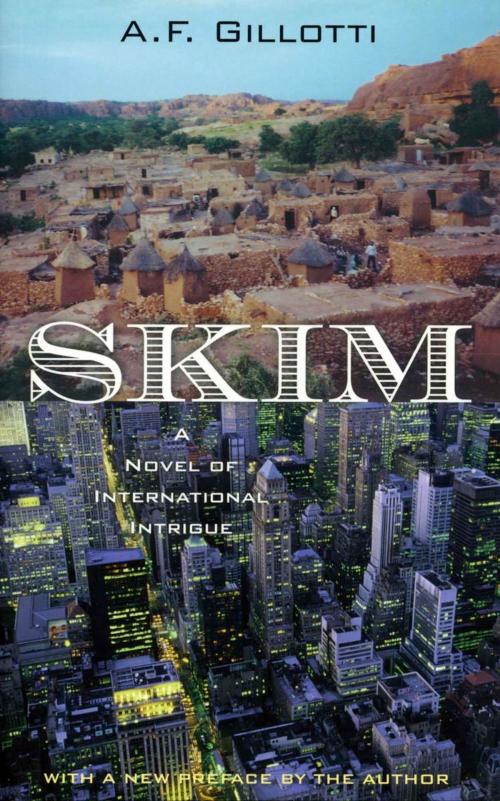 Cover of the book Skim by A.F. Gillotti, Chicago Review Press