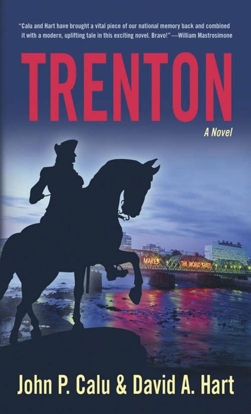 Cover of the book Trenton, A Novel by John P. Calu, David A. Hart, Plexus Publishing, Inc.