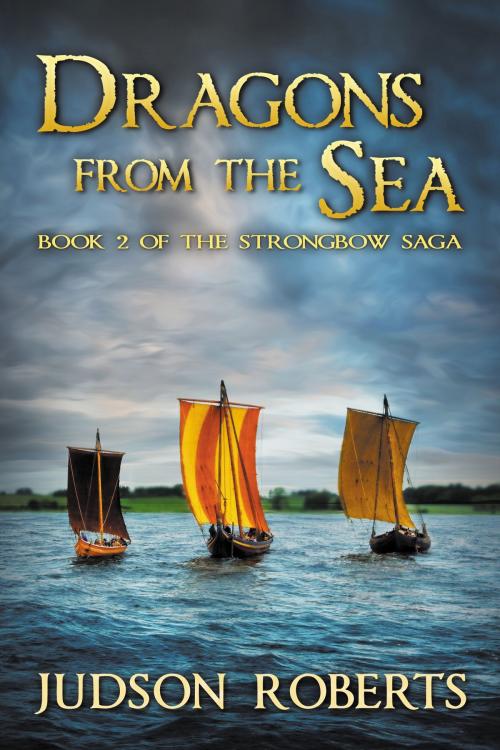 Cover of the book Dragons from the Sea by Judson Roberts, Northman Books Inc