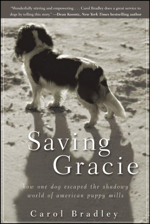 Cover of the book Saving Gracie by Carol Bradley, Turner Publishing Co.