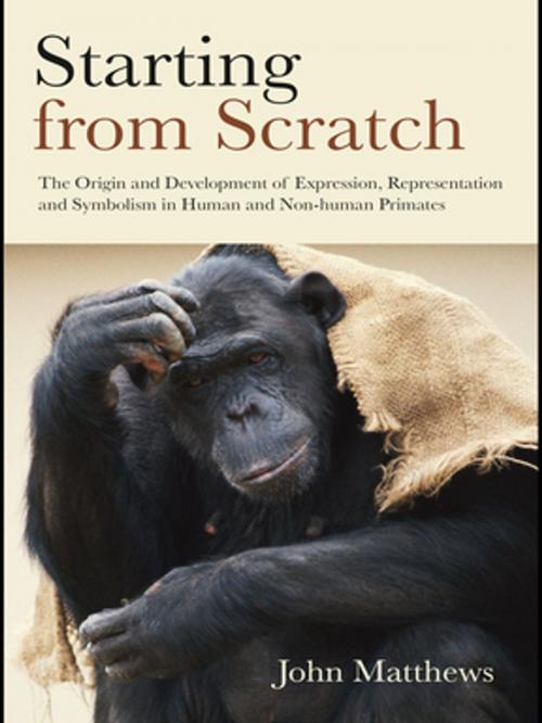 Cover of the book Starting from Scratch by John Matthews, Taylor and Francis