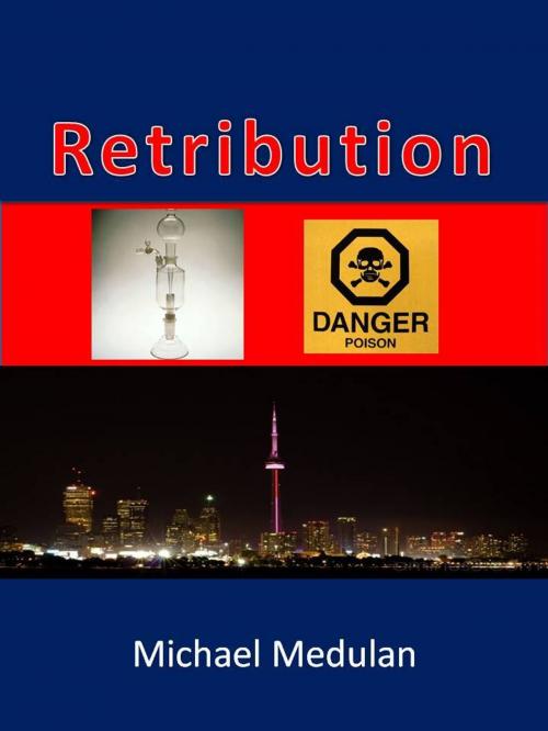 Cover of the book Retribution by Michael Medulan, Michael Medulan