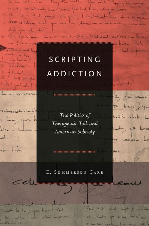 Cover of the book Scripting Addiction by E. Summerson Carr, Princeton University Press