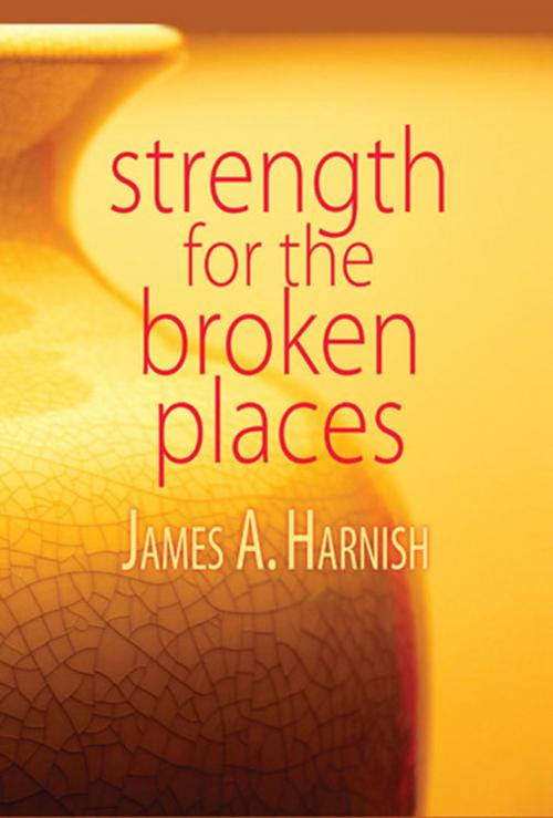 Cover of the book Strength for the Broken Places by James A. Harnish, Abingdon Press