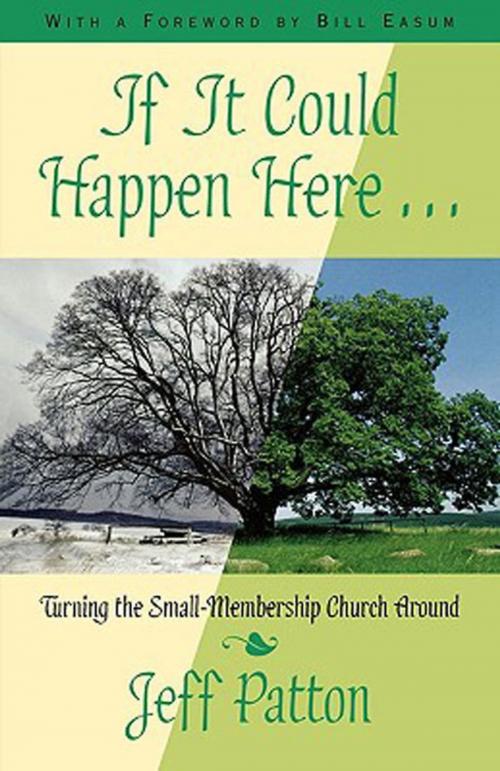 Cover of the book If It Could Happen Here by Jeffrey H. Patton, Abingdon Press
