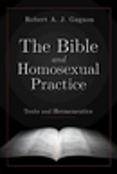 Cover of the book The Bible and Homosexual Practice by Robert A. Gagnon, Abingdon Press