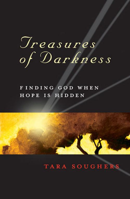 Cover of the book Treasures of Darkness - eBook [ePub] by Tara Soughers, Abingdon Press