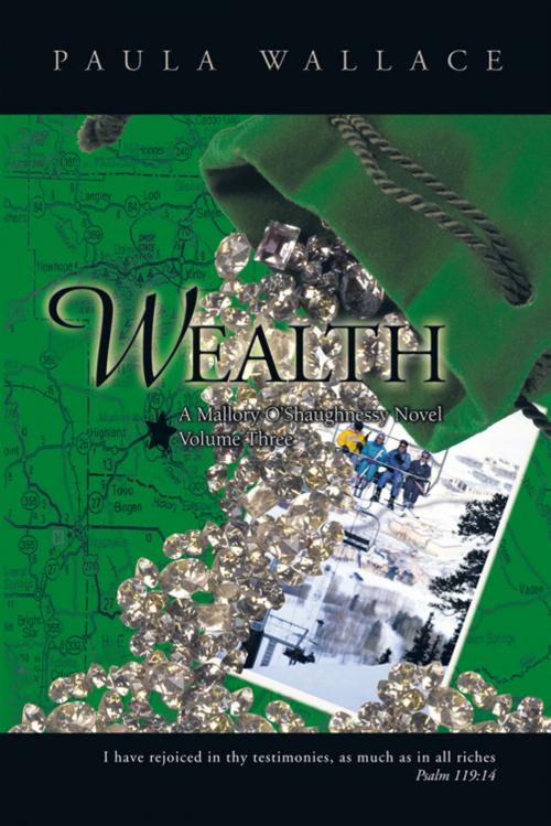 Cover of the book Wealth: a Mallory O’Shaughnessy Novel by Paula Rae Wallace, Trafford Publishing