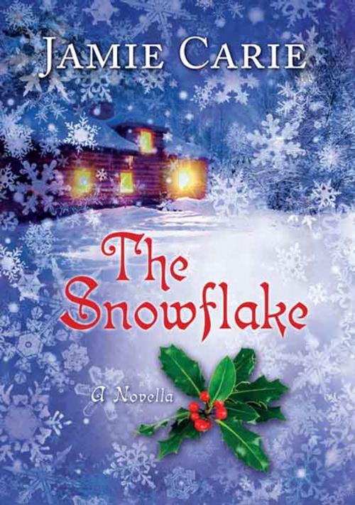 Cover of the book The Snowflake by Jamie Carie, B&H Publishing Group