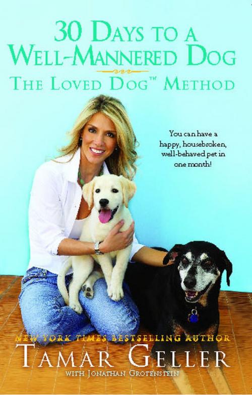 Cover of the book 30 Days to a Well-Mannered Dog by Tamar Geller, Gallery Books