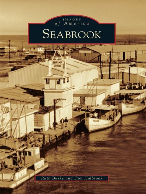 Cover of the book Seabrook by Ruth Burke, Don Holbrook, Arcadia Publishing Inc.