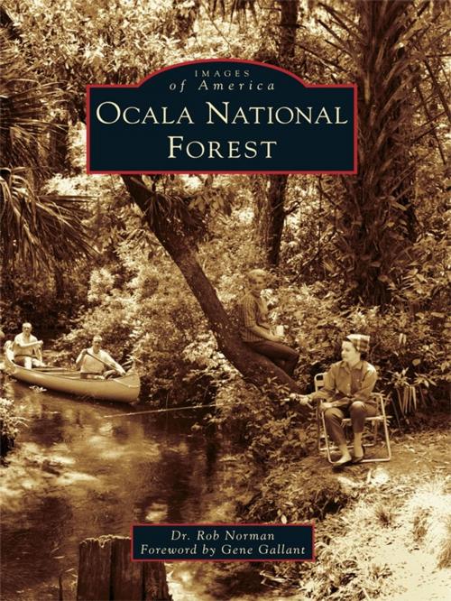 Cover of the book Ocala National Forest by Dr. Rob Norman, Gene Gallant, Arcadia Publishing Inc.