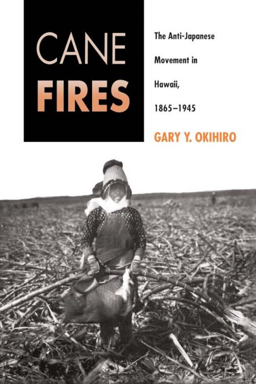 Cover of the book Cane Fires by Gary Okihiro, Temple University Press