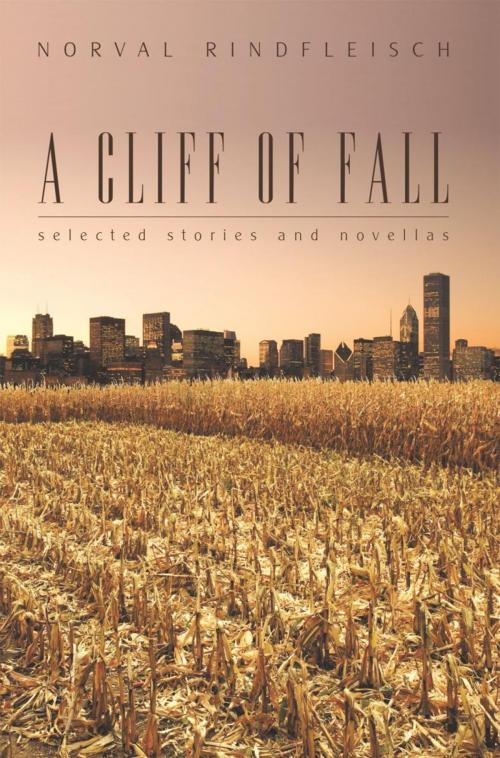 Cover of the book A Cliff of Fall by Norval Rindfleisch, iUniverse