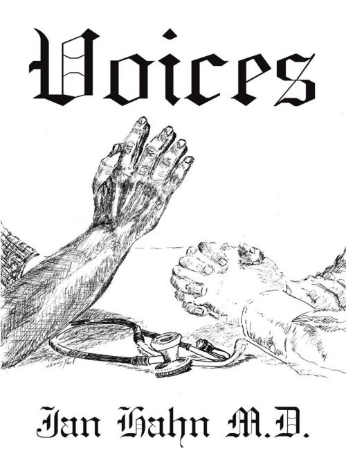 Cover of the book Voices by Jan Hahn, AuthorHouse