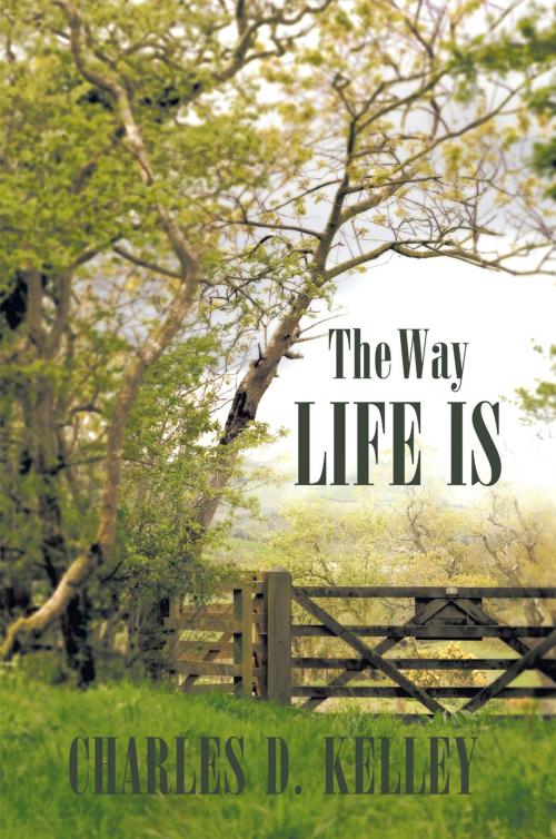 Cover of the book The Way Life Is by Charles D. Kelley, AuthorHouse