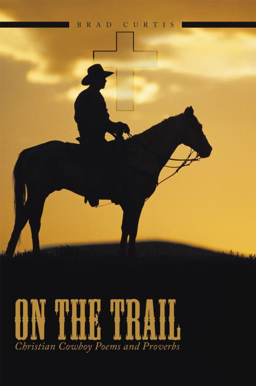 Cover of the book On the Trail by Brad Curtis, AuthorHouse