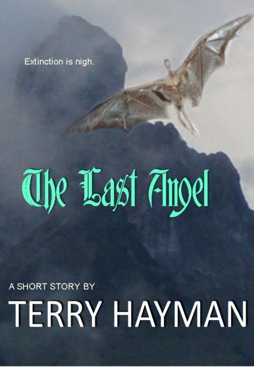 Cover of the book The Last Angel by Terry Hayman, Fiero Publishing