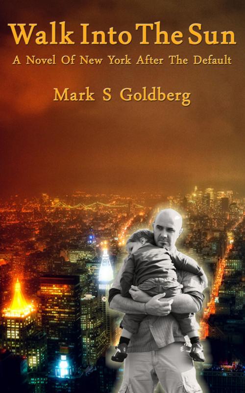 Cover of the book Walk Into The Sun by Mark Goldberg, Mark Goldberg
