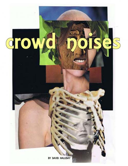 Cover of the book Crowd Noises by David Halliday, David Halliday