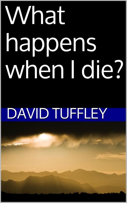 Cover of the book What happens when I die? by David Tuffley, Altiora Publications
