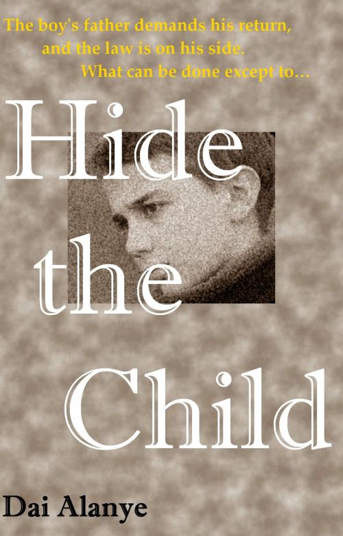 Cover of the book Hide the Child by Dai Alanye, Dai Alanye
