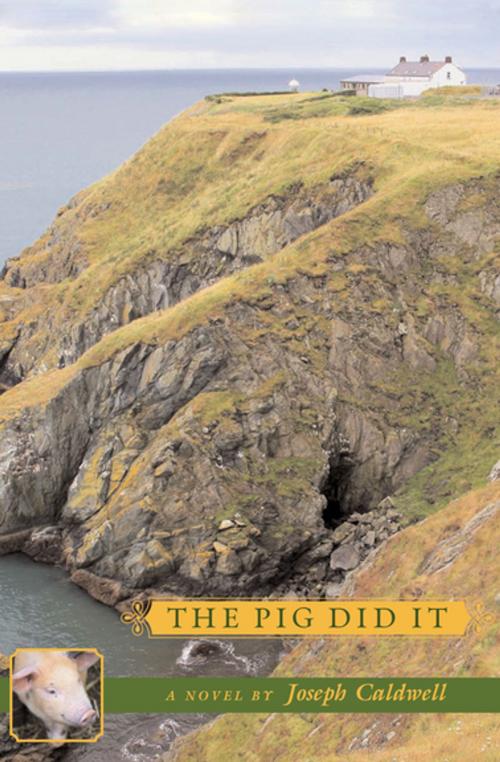 Cover of the book The Pig Did It by Joseph Caldwell, Delphinium Books