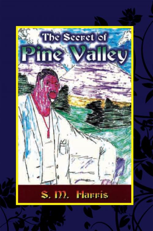 Cover of the book The Secret of Pine Valley by S.M. Harris, Xlibris US