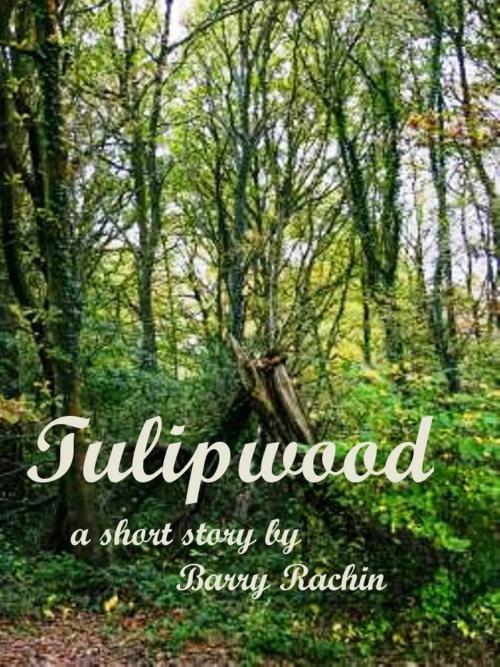 Cover of the book Tulipwood by Barry Rachin, Barry Rachin