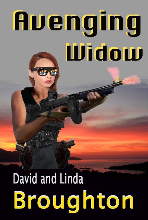 Cover of the book Avenging Widow by David and Linda Broughton, David and Linda Broughton