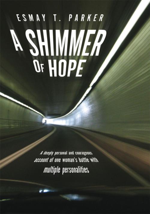 Cover of the book A Shimmer of Hope by Esmay T. Parker, Xlibris US